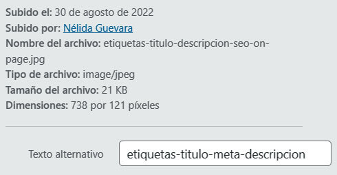etiqueta-alt-en-WordPress