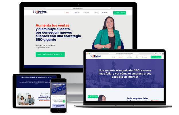 servicios-seo-diseno-web-seo-seopadma